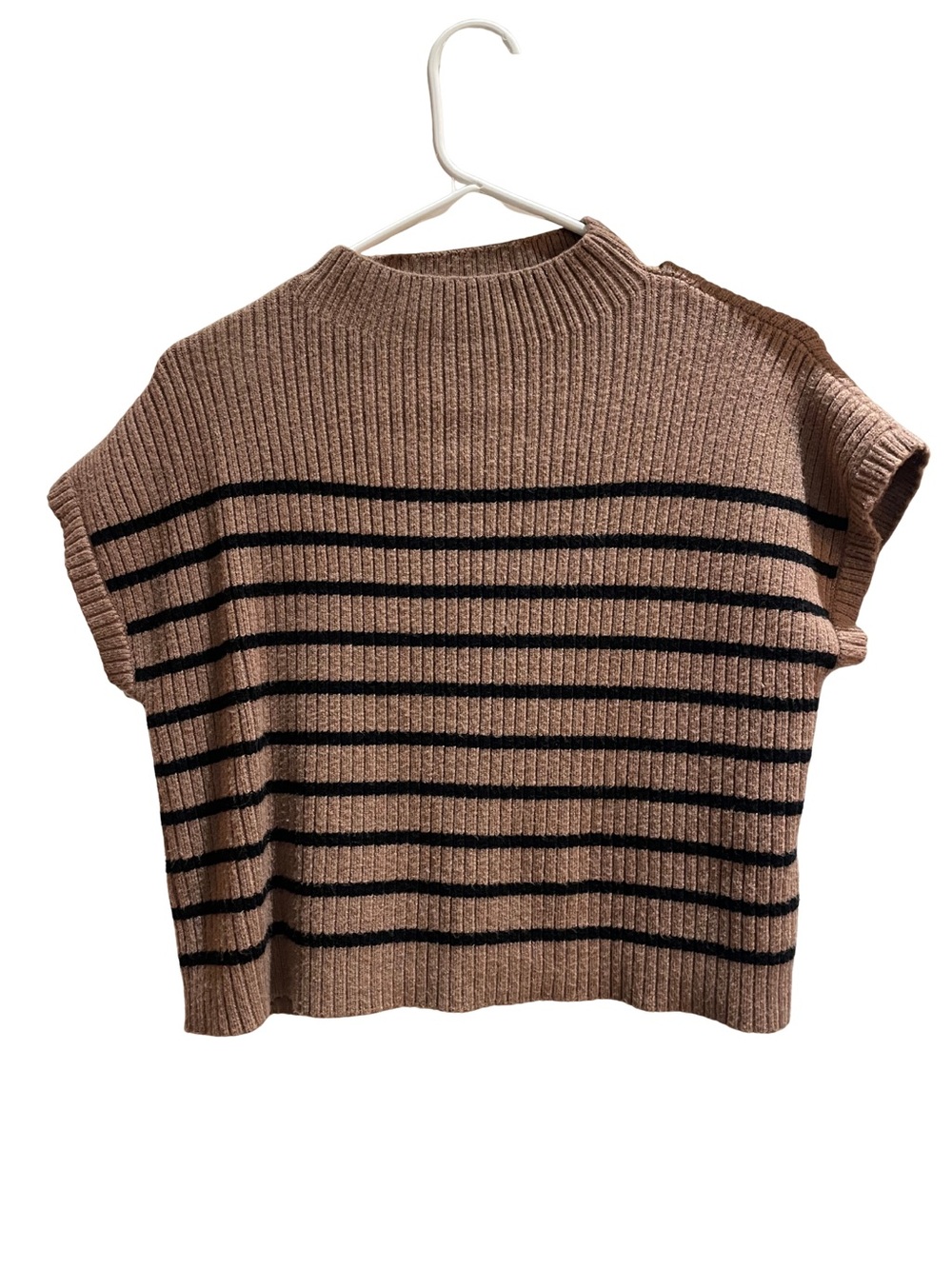 Vici Brown Ribbed Crewneck Sweater Top with Black Stripes
